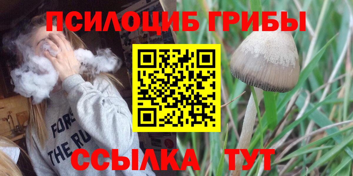 Галлюциногенные грибы GOLDEN TEACHER  Вход с VPN  Новокубанск 